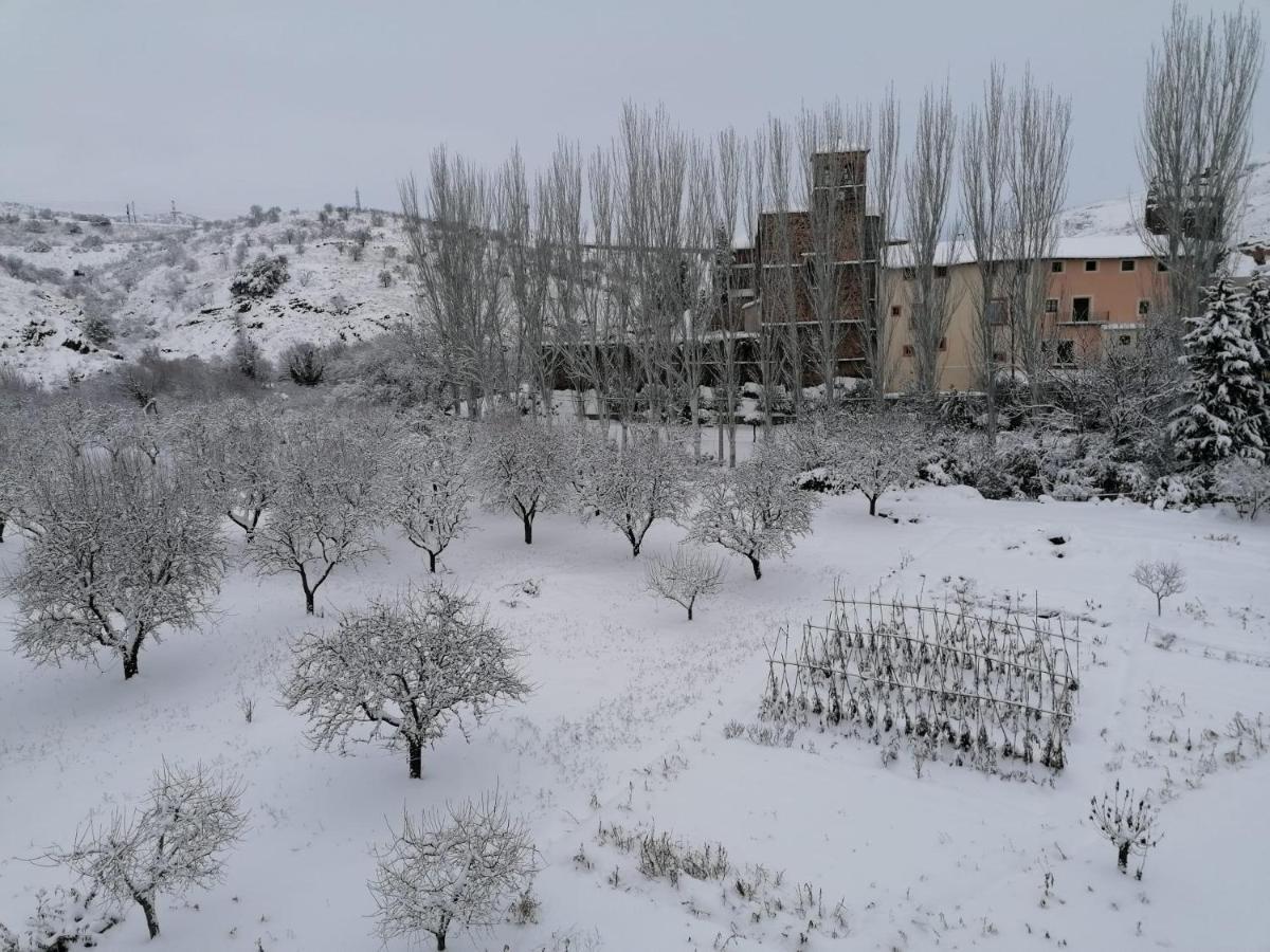 Apartamentos Rurales Camino Del Cid Castejon de las Armas Exterior photo