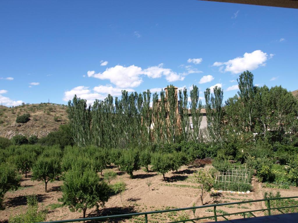 Apartamentos Rurales Camino Del Cid Castejon de las Armas Exterior photo
